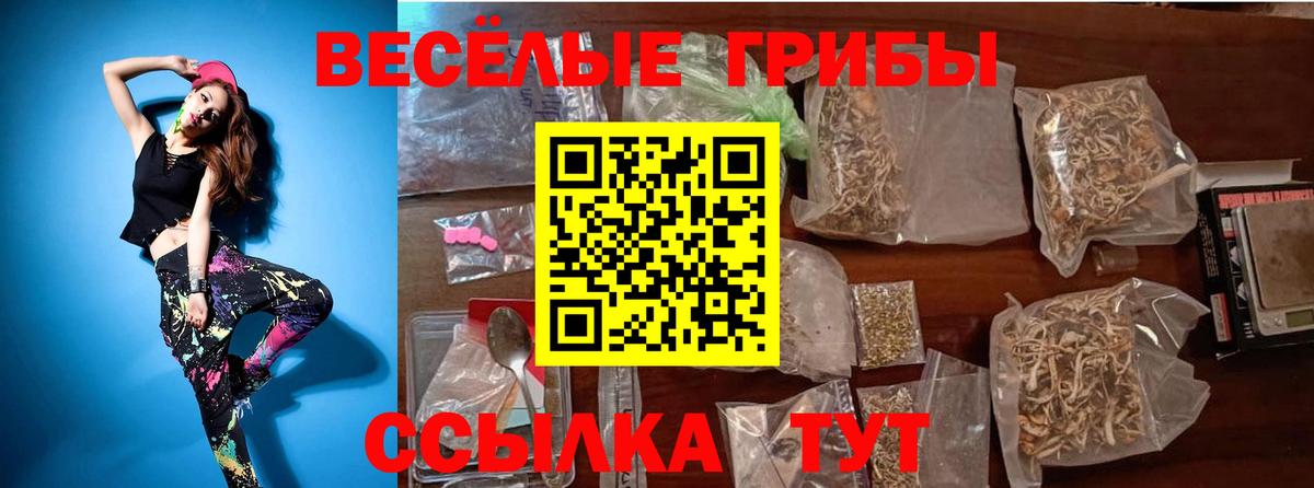 Псилоцибиновые грибы MAGIC MUSHROOMS  Псилоцибиновые грибы Magic Shrooms  Иркутск  Вход с VPN 